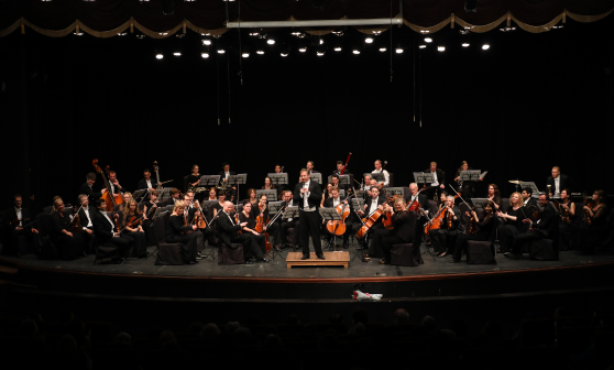Concert Hall gallery image